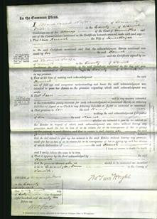 Court of Common Pleas - Hannah Bryan-Original Ancestry