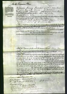 Court of Common Pleas - Mary Ann Calley-Original Ancestry