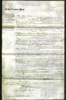 Court of Common Pleas - Harriet Cosens-Original Ancestry