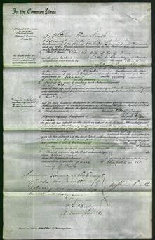 Court of Common Pleas - Ellen Jones-Original Ancestry