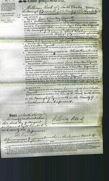 Court of Common Pleas - Jane Charlton Vogwell-Original Ancestry