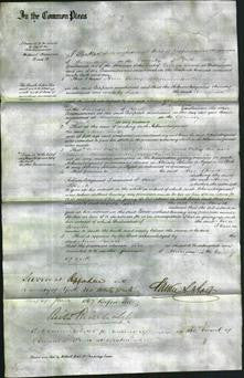 Court of Common Pleas - Ann Booth-Original Ancestry