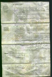 Court of Common Pleas - Betsey Vye Benoke-Original Ancestry