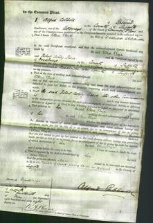 Court of Common Pleas - Ellen Eliza Sheldrake-Original Ancestry