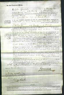 Court of Common Pleas - Louisa Jett and Eliza Catherine Fowler-Original Ancestry