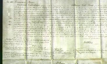 Court of Common Pleas - Elizabeth Underwood-Original Ancestry