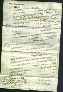 Court of Common Pleas - Elizabeth Ford-Original Ancestry