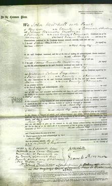 Court of Common Pleas - Maria Cliff-Original Ancestry