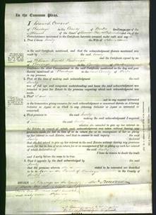 Court of Common Pleas - Emily Adams-Original Ancestry