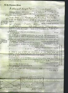 Court of Common Pleas - Sarah Sutton-Original Ancestry