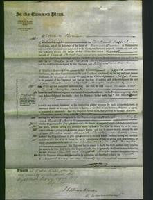 Court of Common Pleas - Ann Benton and Elizabeth Shingler-Original Ancestry