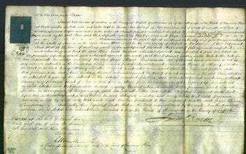 Court of Common Pleas - Ann Lane-Original Ancestry