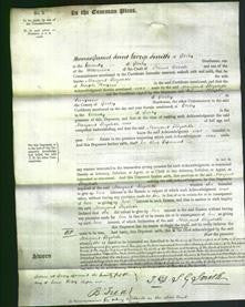 Court of Common Pleas - Margaret Elizabeth Haynes-Original Ancestry