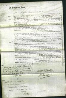 Court of Common Pleas - Mary Clark-Original Ancestry