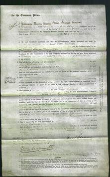 Court of Common Pleas - Jane Richards-Original Ancestry