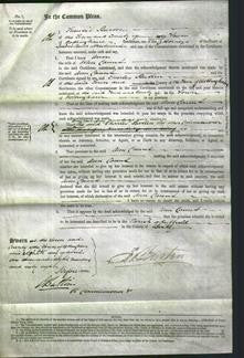 Court of Common Pleas - Ann Caunt-Original Ancestry