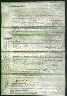 Court of Common Pleas - Margaret Davidson-Original Ancestry