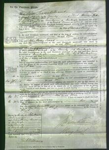 Court of Common Pleas - Ellen Parry-Original Ancestry