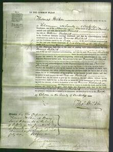 Court of Common Pleas - Frances Sheldrick-Original Ancestry