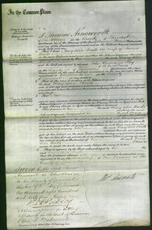 Court of Common Pleas - Mary Alice Beads-Original Ancestry