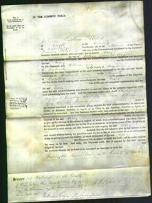 Court of Common Pleas - Mary Mayhew-Original Ancestry