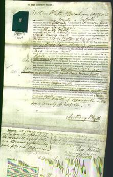 Court of Common Pleas - Jane Maria Ryett-Original Ancestry
