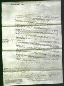 Court of Common Pleas - Elizabeth Betteridge-Original Ancestry