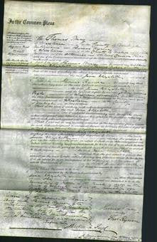 Court of Common Pleas - Jane Elizabeth Smith-Original Ancestry