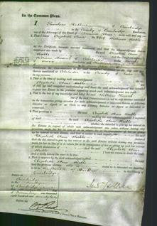 Court of Common Pleas - Elizabeth Anne Keeble-Original Ancestry