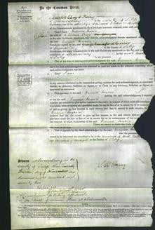 Court of Common Pleas - Emma Maria Craig-Original Ancestry