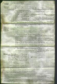 Court of Common Pleas - Mary Ann Dalton-Original Ancestry