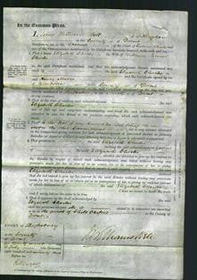 Court of Common Pleas - Elizabeth Charles-Original Ancestry