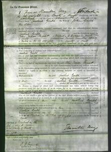 Court of Common Pleas - Caroline Gould-Original Ancestry