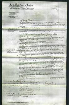 Court of Common Pleas - Jane Evans-Original Ancestry