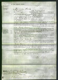 Court of Common Pleas - Mary Ingram-Original Ancestry