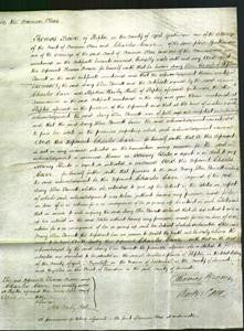 Court of Common Pleas - Mary Ellen Fawcett-Original Ancestry