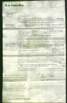Court of Common Pleas - Mary Minton-Original Ancestry