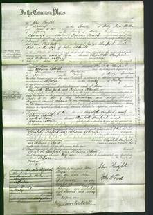 Court of Common Pleas - Elizabeth Burford and Rebecca Cotterill-Original Ancestry