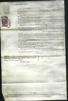 Court of Common Pleas - Sarah Rebecca Colchester-Original Ancestry