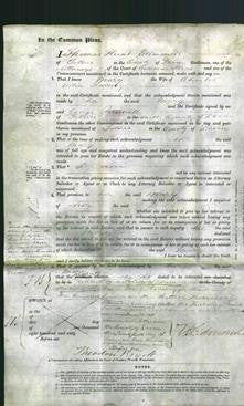 Court of Common Pleas - Mary Rodway-Original Ancestry