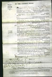 Court of Common Pleas - Emma Sarah Bohm-Original Ancestry
