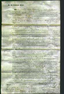 Court of Common Pleas - Elizabeth Johnson-Original Ancestry