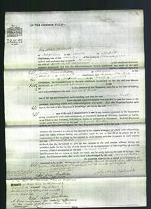 Court of Common Pleas - Hannah Rivett-Original Ancestry