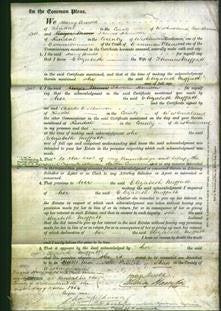 Court of Common Pleas - Elizabeth Moffatt-Original Ancestry