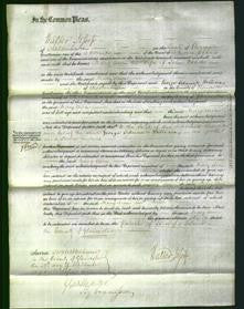 Court of Common Pleas - Mary Ann Need-Original Ancestry
