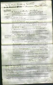 Court of Common Pleas - Sarah Grainger-Original Ancestry