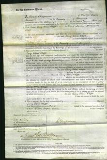 Court of Common Pleas - Lucy Ellen Clift-Original Ancestry