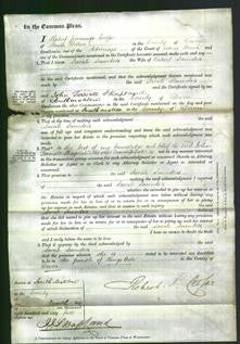 Court of Common Pleas - Sarah Saunders-Original Ancestry