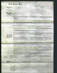 Court of Common Pleas - Mary Amelia Bewicke-Original Ancestry