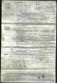 Court of Common Pleas - Ann Doty-Original Ancestry